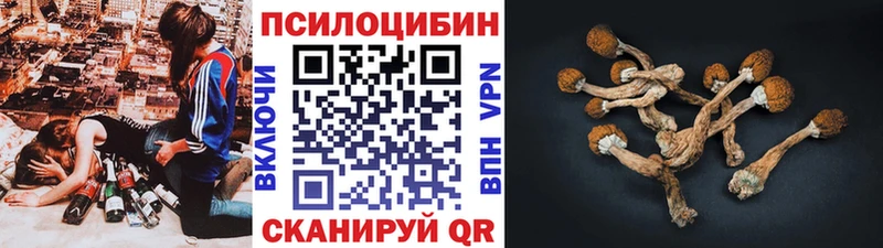 Купить где  Чебаркуль  Псилоцибиновые грибы GOLDEN TEACHER 